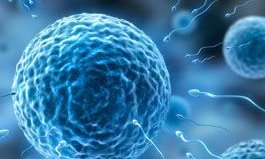 肇庆助孕机构要怎么选择？这五家机构技术都比较靠谱