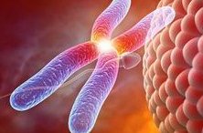 2026年国内试管婴儿医院排行榜