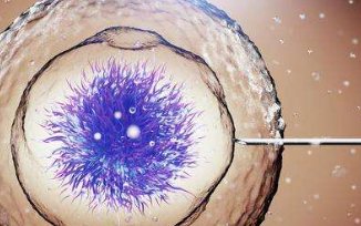 40岁以上高龄做试管婴儿的成功率受这些因素影响