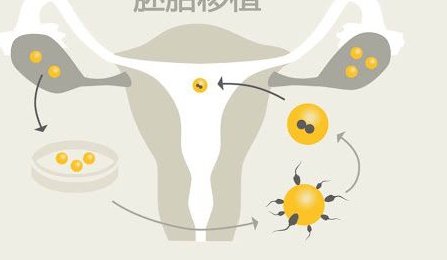 2026年南宁三代试管助孕生孩子价格表