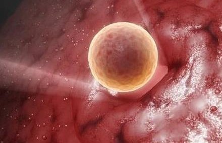 湛江多家医院提供三代试管婴儿助孕服务，成功率颇高！