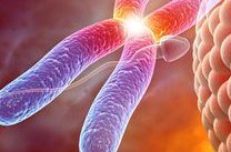 2026年染色体异常去菏泽做三代试管要多少钱呀？附试管婴儿收费价目表