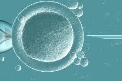 青岛助孕行业翘楚：揭秘最知名的三大助孕机构！